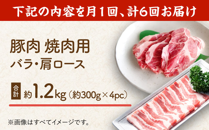 【6回定期便】豚肉 焼肉用（バラ・肩ロース）約1.2kg（約300g×4pc）【吉里精肉】 [ZEW097]