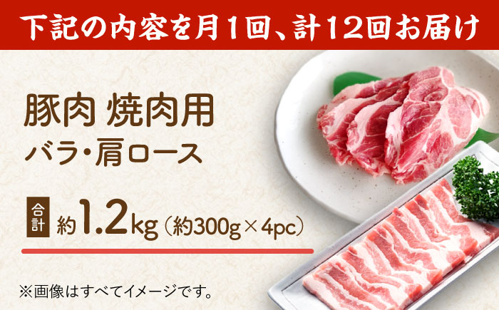 【12回定期便】豚肉 焼肉用（バラ・肩ロース）約1.2kg（約300g×4pc）【吉里精肉】 [ZEW098]