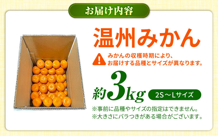 温州みかん 3kg 極早生 早生 中生 晩生 みかん 【池田農園】 [ZEX005]