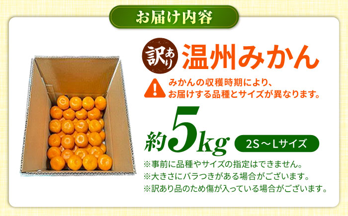 【訳あり】 温州みかん 5kg 極早生 早生 中生 晩生 みかん 【池田農園】 [ZEX006]