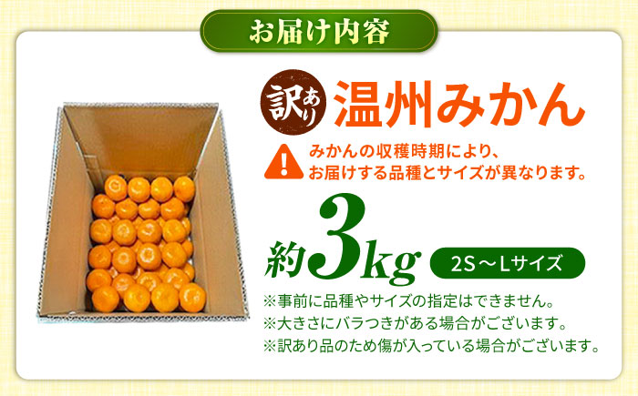 【訳あり】 温州みかん 3kg 極早生 早生 中生 晩生 みかん 【池田農園】 [ZEX007]