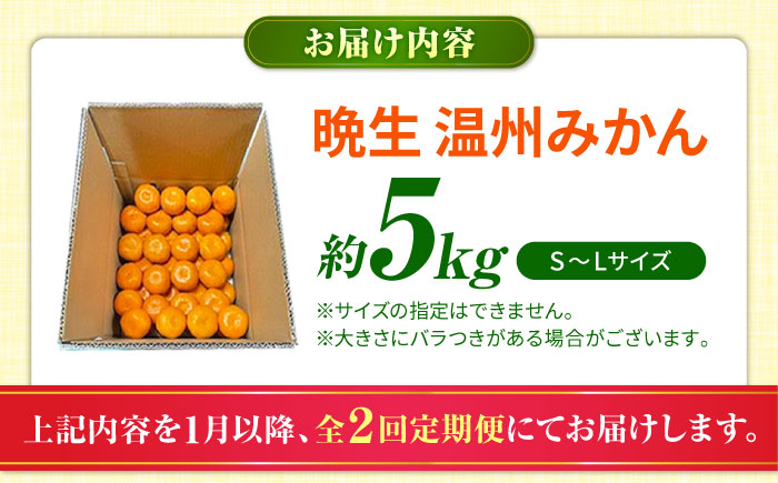 【先行予約】【全2回定期便】 晩生 温州みかん 約5kg みかん 【池田農園】 [ZEX008]