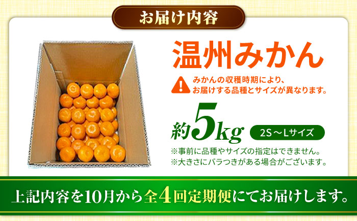 【先行予約】【全4回定期便】 温州みかん 5kg 極早生 早生 中生 晩生 みかん 【池田農園】 [ZEX010]