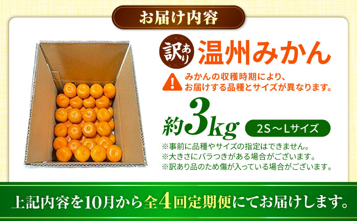 【先行予約】【全4回定期便】 訳あり 温州みかん 3kg 極早生 早生 中生 晩生 みかん 【池田農園】 [ZEX013]
