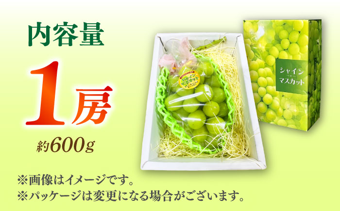 【先行予約】シャインマスカット 1房（約600g）【城 果樹園】 [ZFD002]