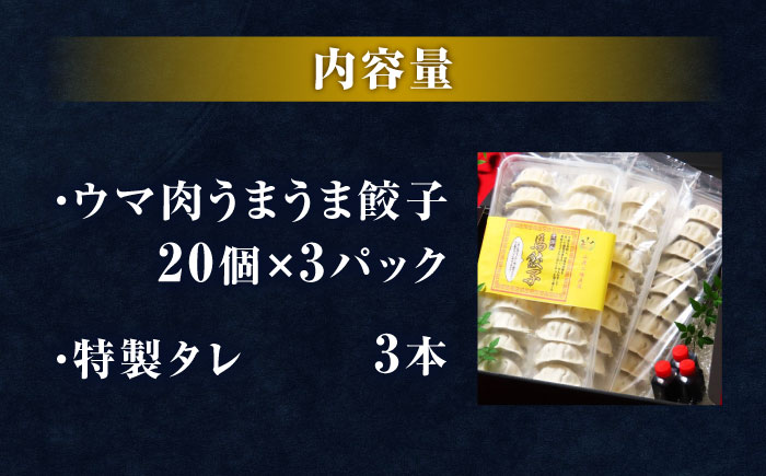新感覚！ウマ肉うまうま餃子（20個×3パック）【オルガニコ山鹿】 [ZFH006]