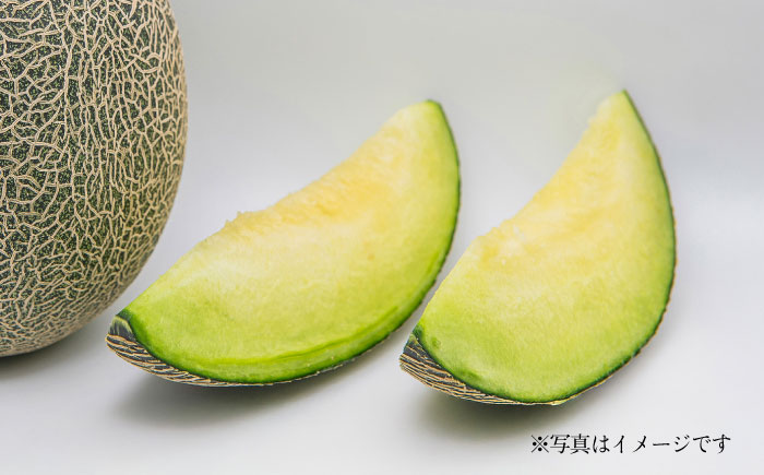 【先行予約】肥後グリーンメロン 約7kg(4～6玉入) メロン グリーンメロン フルーツ 熊本県産 【日本フルーツ株式会社】 [ZFJ006]