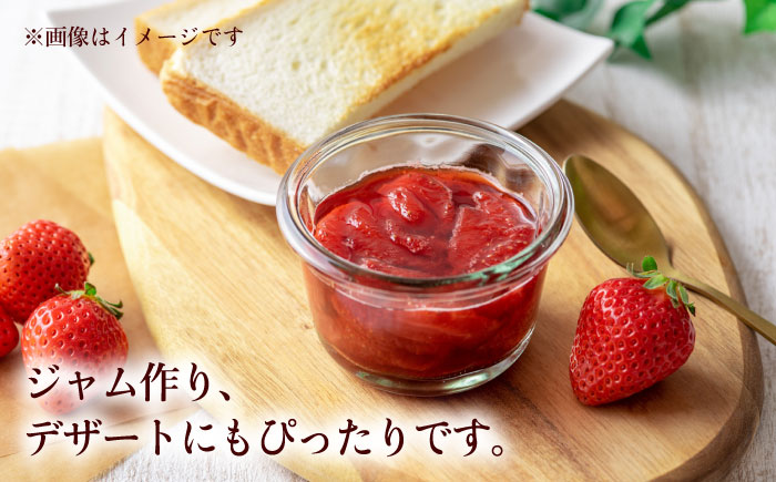 【先行予約】熊本県産いちご 約１kg（250g×4pc） イチゴ フルーツ 果物 熊本県産 熊本【日本フルーツ株式会社】 [ZFJ009]