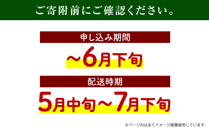 【先行予約】小玉スイカ 3L以上　1玉入り 約1.5kg 【日本フルーツ株式会社】 [ZFJ011]