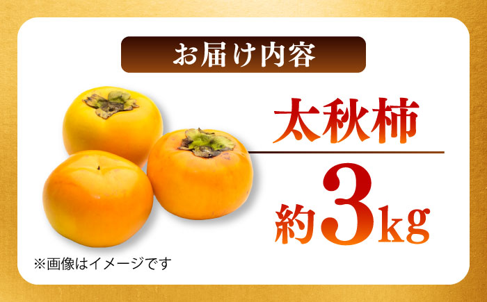 【先行予約】太秋柿 約3kg 柿 カキ フルーツ 果物 秋 【日本フルーツ株式会社】 [ZFJ020]