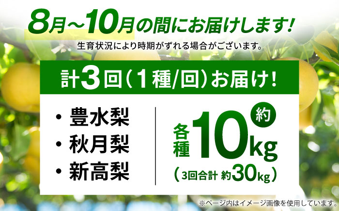 【先行予約】【3回定期便】 梨 約10kg 計約30kg（豊水・秋月・新高）  梨 ナシ フルーツ 果物 【日本フルーツ株式会社】 [ZFJ025]