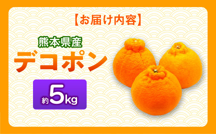 【先行予約】 デコポン　約5kg 柑橘 みかん 蜜柑 熊本 フルーツ 果物 【日本フルーツ株式会社】 [ZFJ034]