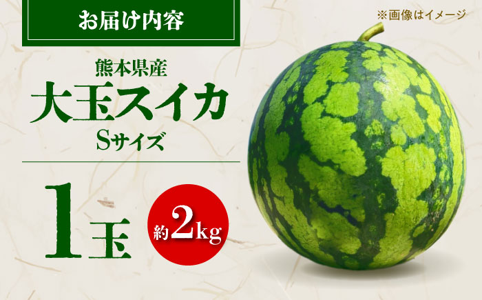 【先行予約】 大玉スイカ Sサイズ 1玉入り 約2kg  すいか 小玉 熊本 フルーツ 野菜 果物 【日本フルーツ株式会社】 [ZFJ038]