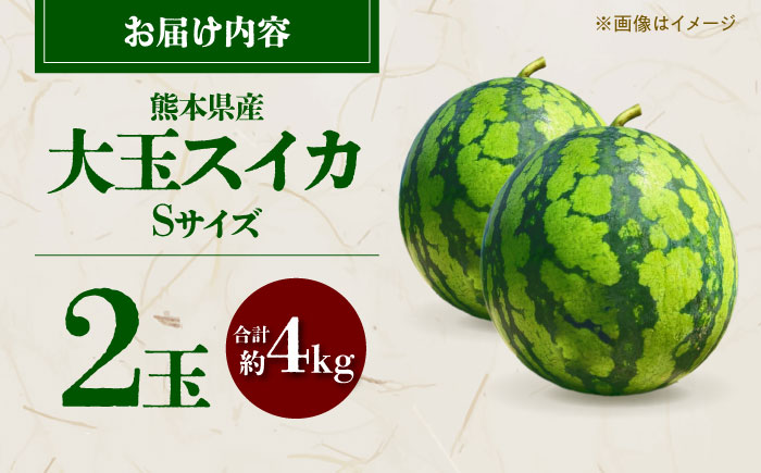 【先行予約】 大玉スイカ Sサイズ 2玉入り 約4kg  すいか 小玉 熊本 フルーツ 野菜 果物 【日本フルーツ株式会社】 [ZFJ039]