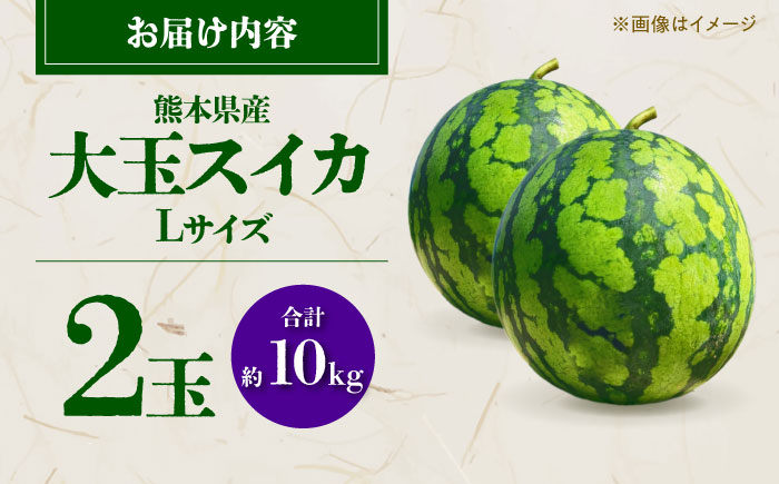 【先行予約】 大玉スイカ Lサイズ 2玉入り 約10kg すいか 大玉 熊本 フルーツ 野菜 果物 【日本フルーツ株式会社】 [ZFJ044]