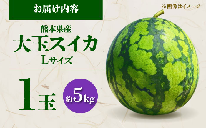 【先行予約】 大玉スイカ Lサイズ 1玉入り 約5kg すいか 大玉 熊本 フルーツ 野菜 果物 【日本フルーツ株式会社】 [ZFJ045]