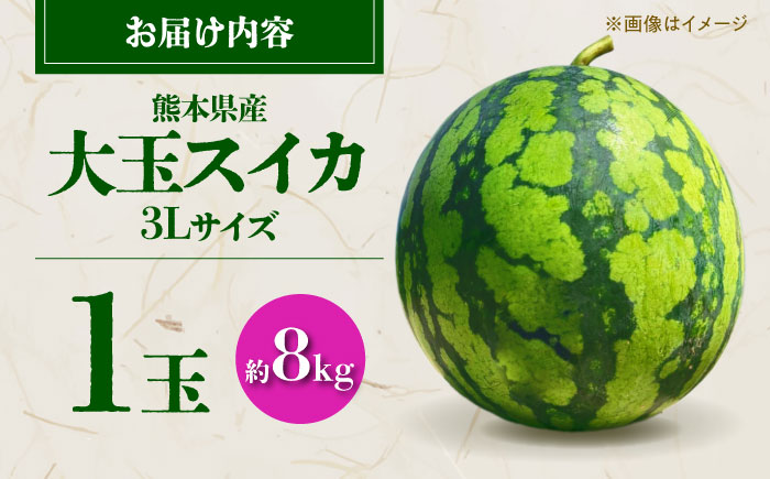 【先行予約】 大玉スイカ 3Lサイズ 1玉入り 約8kg すいか 大玉 熊本 フルーツ 野菜 果物 【日本フルーツ株式会社】 [ZFJ047]
