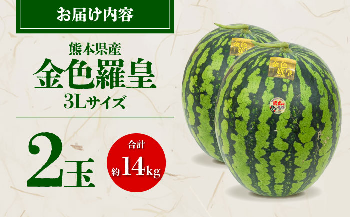 【先行予約】 金色羅皇 スイカ 3Lサイズ 2玉 約14kg すいか 黄色 熊本 フルーツ 野菜 果物 【日本フルーツ株式会社】 [ZFJ048]