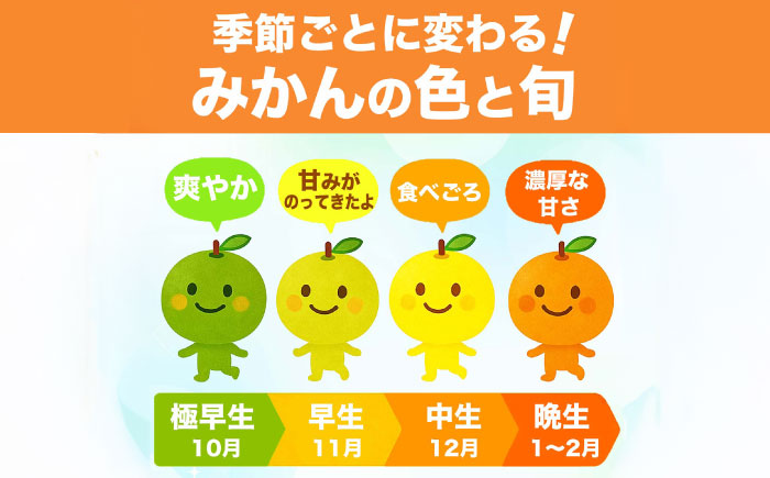 【先行予約】 温州みかん 訳あり サイズミックス 3S-3L 約5kg みかん 蜜柑 サイズ 不選別 家庭用 柑橘 フルーツ 果物 【日本フルーツ株式会社】 [ZFJ050]