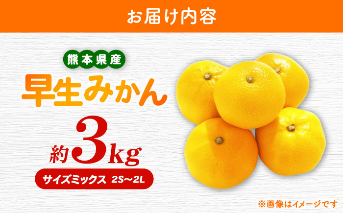 【先行予約】 早生みかん 2S-2L 約3kg みかん 蜜柑 柑橘 フルーツ 果物 【日本フルーツ株式会社】 [ZFJ056]