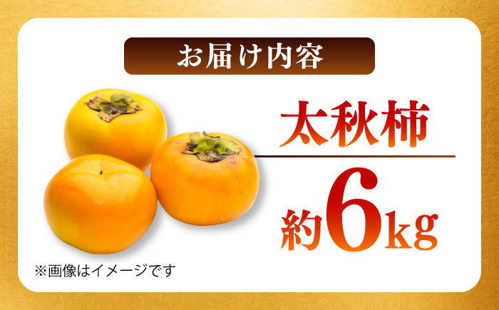 【先行予約】太秋柿 約6kg 柿 カキ フルーツ 果物 秋 【日本フルーツ株式会社】 [ZFJ071]