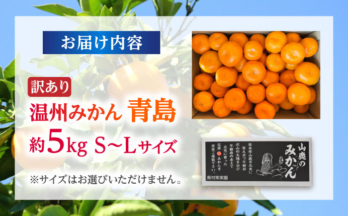 【訳あり】 温州みかん 『青島』 約5kg S～Lサイズ 【奥村果実園】 [ZFK001]
