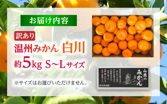 【訳あり】 温州みかん 『白川』 約5kg S～Lサイズ 【奥村果実園】 [ZFK003]