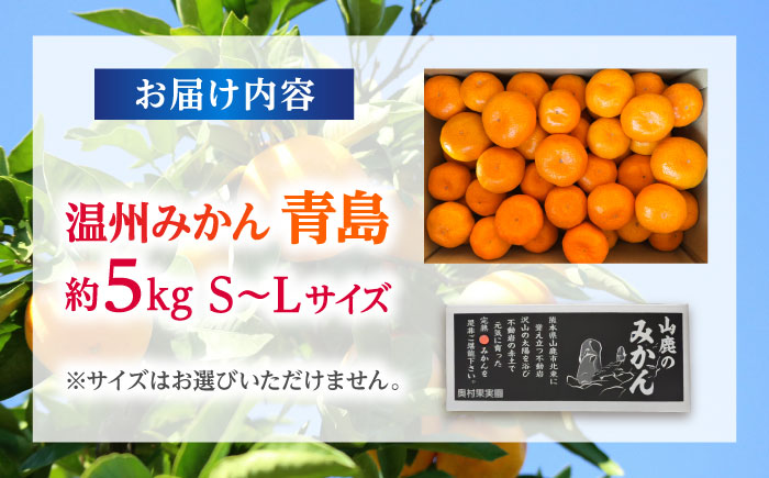 温州みかん 『青島』 約5kg S～Lサイズ 【奥村果実園】 [ZFK005]
