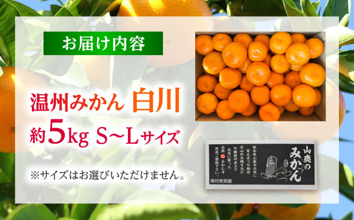 温州みかん 『白川』 約5kg S～Lサイズ 【奥村果実園】 [ZFK007]