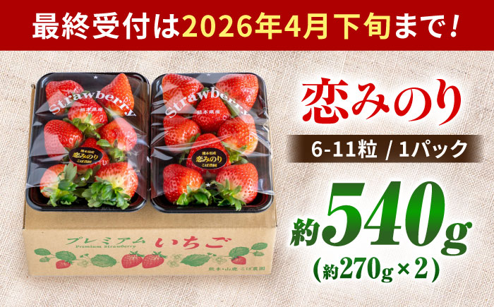 【先行予約】こば農園のこだわりいちご　恋みのり 約540g（約270g：6~11粒×2パック） 【合同会社 こば農園】 [ZFO001]