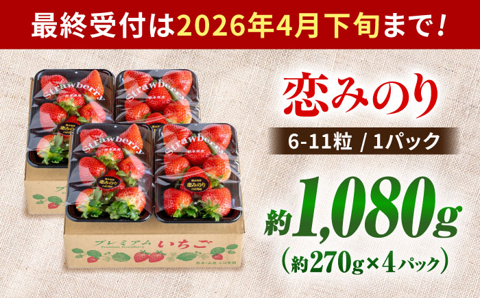 【先行予約】こば農園のこだわりいちご　恋みのり 約1080g（約270g：6~11粒×4パック） 【合同会社 こば農園】 [ZFO006]