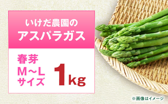 【先行予約】 山鹿市産 いけだ農園のアスパラガス 春芽(M~Lサイズ)　約1kg【いけだ農園】 [ZFP002]
