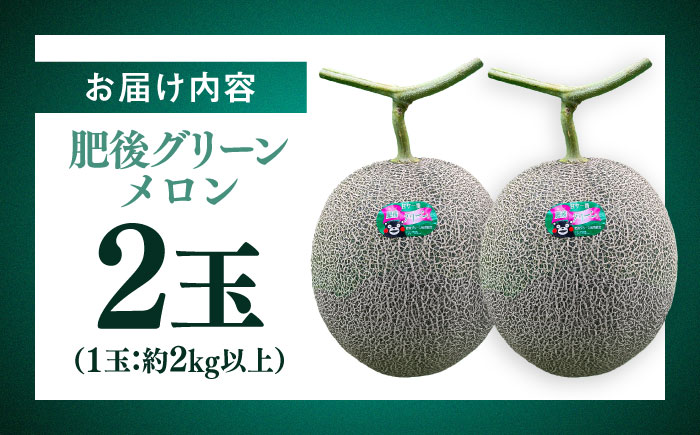 【先行予約】  山鹿の恵み! 匠の育てた　肥後グリーン メロン 約4kg以上（約2kg以上×2玉）【きもと農園】 [ZFQ001]