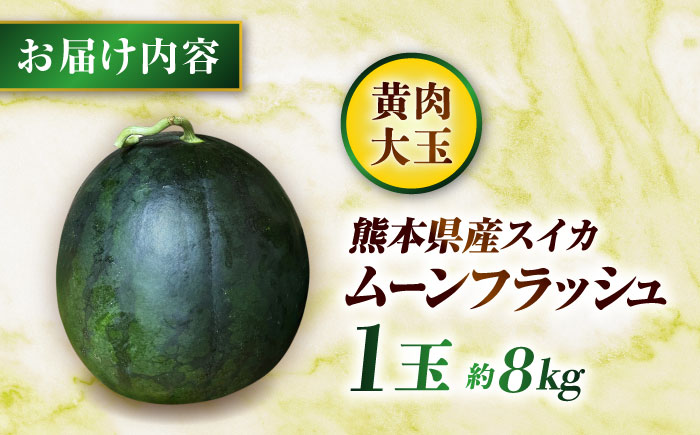 【先行予約】 山鹿の恵み! 匠の育てたムーンフラッシュ　大玉スイカ(約8kg前後×1玉)【きもと農園】 [ZFQ005]