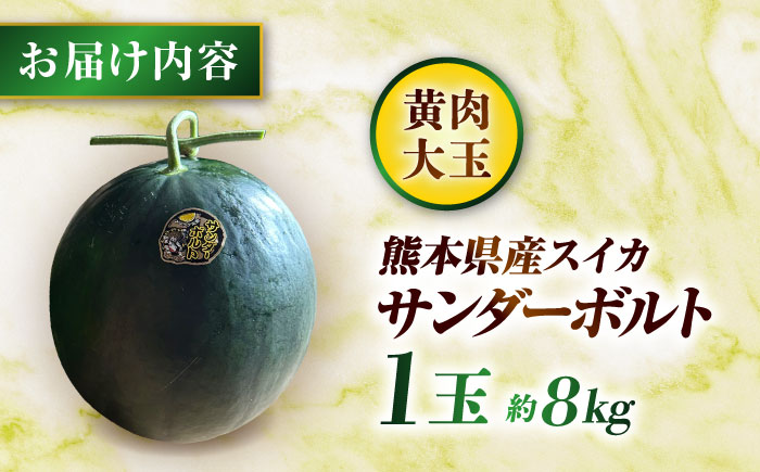【先行予約】 山鹿の恵み! 匠の育てたサンダーボルト　大玉スイカ(約8kg前後×1玉)【きもと農園】 [ZFQ006]