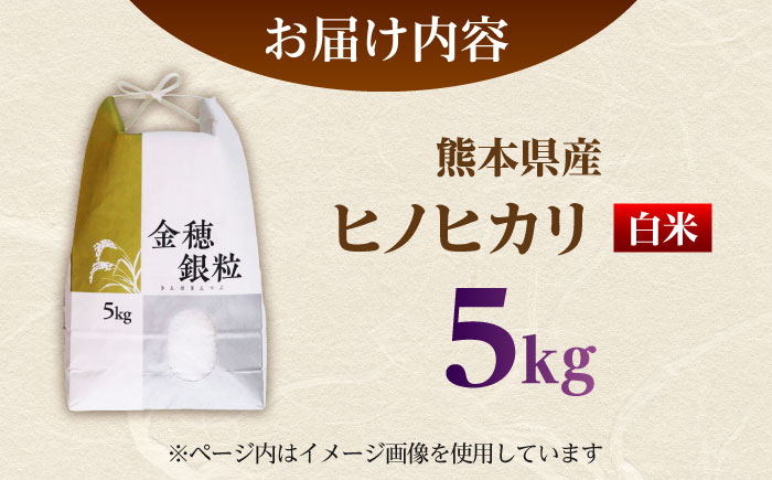 【先行予約】 ヒノヒカリ 白米 5㎏（5㎏×1袋） 【株式会社 岩下農園】 [ZFS003]