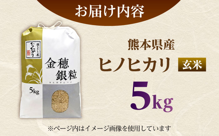 【先行予約】 ヒノヒカリ 玄米 5㎏（5㎏×1袋）【株式会社 岩下農園】 [ZFS006]