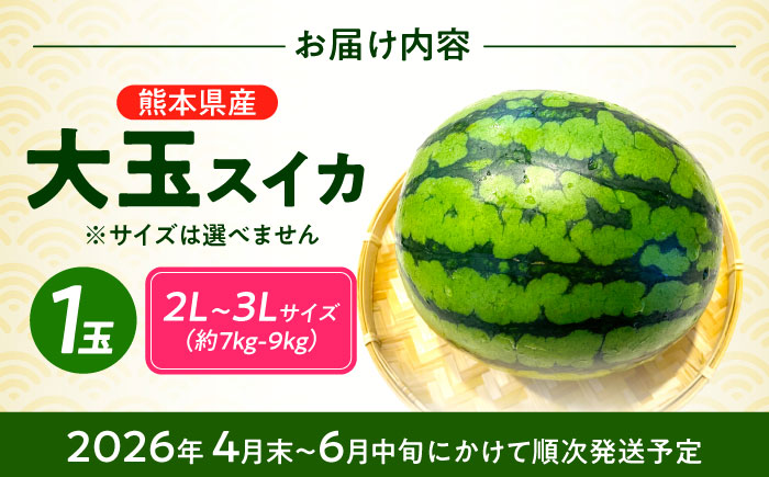 【先行予約】 大玉スイカ！ 2L～3Lサイズ（約7kg～9kg） 厳選 1玉！ すいかの名産地 熊本からお届け 【城野農園】 [ZFV001]