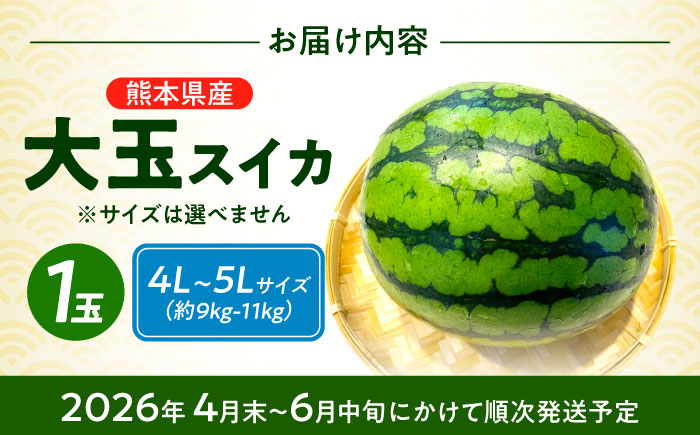 【先行予約】 大玉スイカ！ 4L～5Lサイズ（約9kg～11kg）　厳選 1玉！ すいかの名産地 熊本からお届け 【城野農園】 [ZFV002]