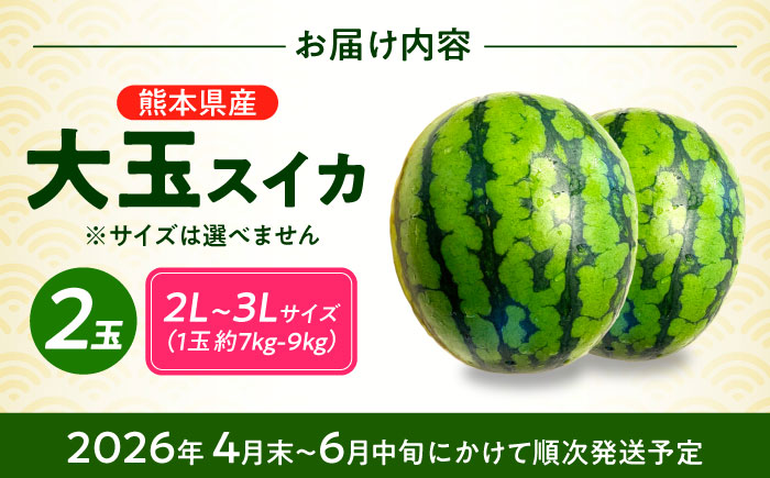 【先行予約】 厳選 2玉！ 大玉スイカ！2L～3Lサイズ（1玉 約7kg～9kg）すいかの名産地 熊本からお届け 【城野農園】 [ZFV004]