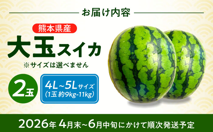 【先行予約】 厳選 2玉！ 大玉スイカ！4L～5Lサイズ（1玉 約9kg～11kg）すいかの名産地 熊本からお届け 【城野農園】 [ZFV005]