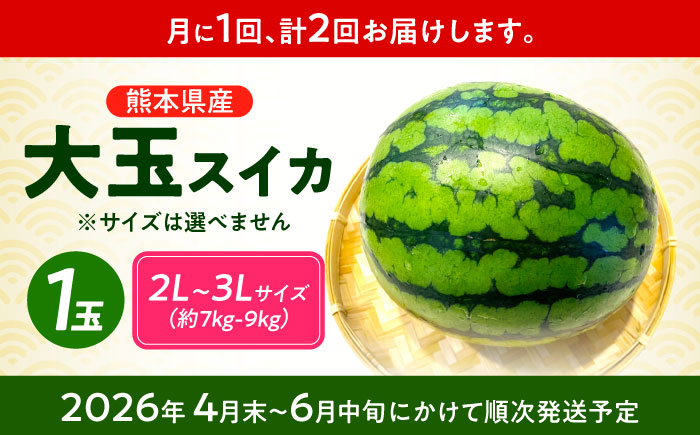 【先行予約】 【2回定期便】 大玉スイカ！2L～3Lサイズ（1玉 約7kg～9kg）　2種類楽しめる！ 1玉入りを2回お届け！ 【城野農園】 [ZFV006]