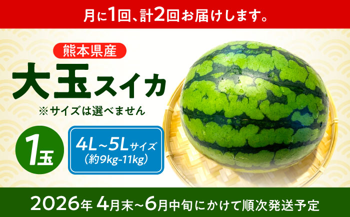 【先行予約】 【2回定期便】 大玉スイカ！4L～5Lサイズ（1玉 約9kg～11kg）　2種類楽しめる！ 1玉入りを2回お届け！ 【城野農園】 [ZFV007]