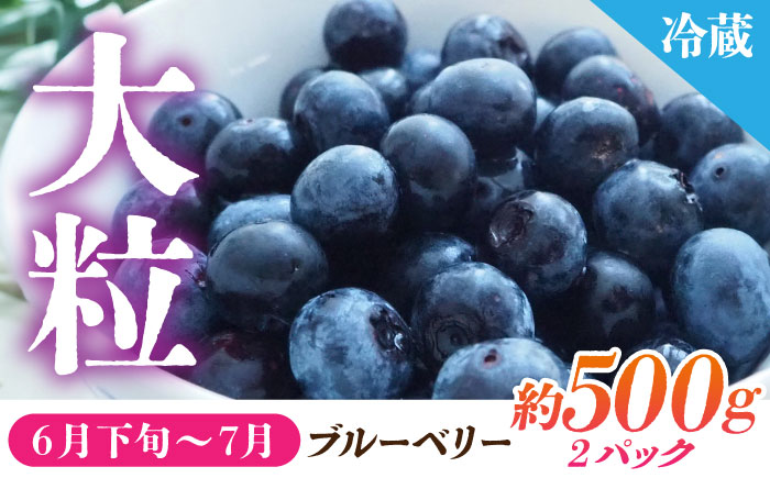 【先行予約】【6回定期便】 フルーツの名産地 山鹿から直送のあま～い幸せ 熟成芋と旬のフルーツ くまもと さつまいも みかん いちご すいか メロン ブルーベリー こだわり