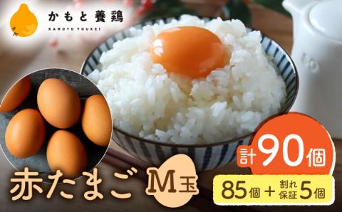 赤たまご M玉 90個（85個＋5個割れ保証）【農事組合法人 鹿本養鶏組合】 [ZCA002]