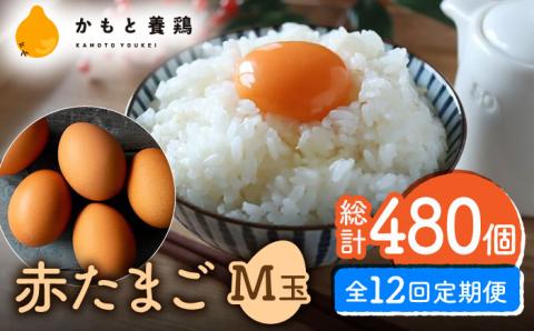 【全12回定期便】 【化粧箱入り】赤たまご M玉 40個 (37個＋割れ保証3個)【農事組合法人 鹿本養鶏組合】 [ZCA005]