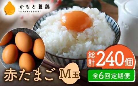 【全6回定期便】 【化粧箱入り】赤たまご M玉 40個 (37個＋割れ保証3個)【農事組合法人 鹿本養鶏組合】 [ZCA004]