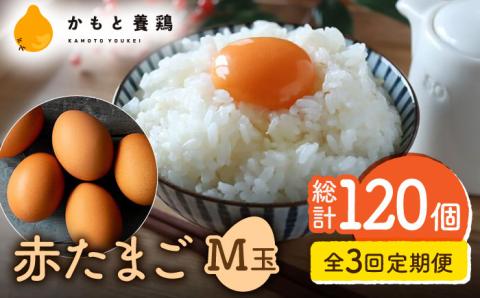 【全3回定期便】 【化粧箱入り】赤たまご M玉 40個 (37個＋割れ保証3個)【農事組合法人 鹿本養鶏組合】 [ZCA003]