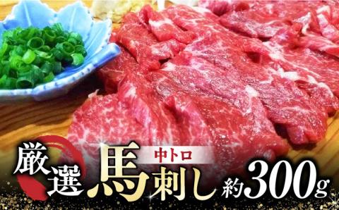 熊本 馬刺し 「なか園」 厳選の馬刺し 約３００ｇ [ZBV009]