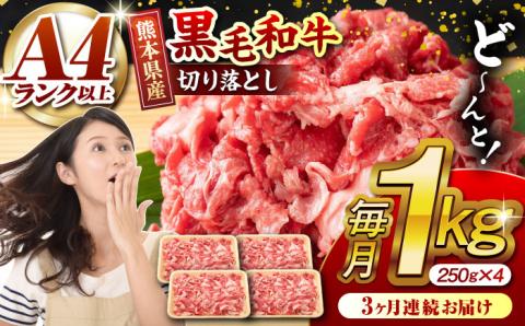 【3回定期便】熊本県産 黒毛和牛 切り落とし 計約1kg (約250g×4P)【有限会社九州食肉産業】 小分け 国産 A4 A5 山鹿 [ZDQ032]
